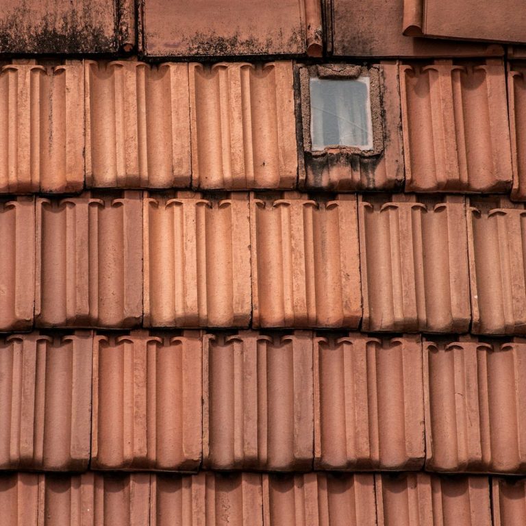 Toiture en tuiles propre après démoussage avec un drone DRONELIS.